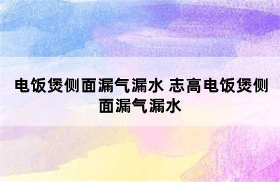 电饭煲侧面漏气漏水 志高电饭煲侧面漏气漏水